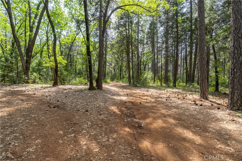 Scotty Ln Forest Ranch, CA 95942