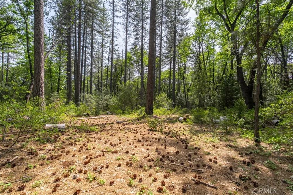 Scotty Ln Forest Ranch, CA 95942