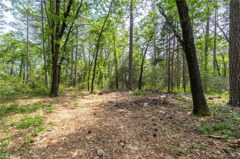 Scotty Ln Forest Ranch, CA 95942