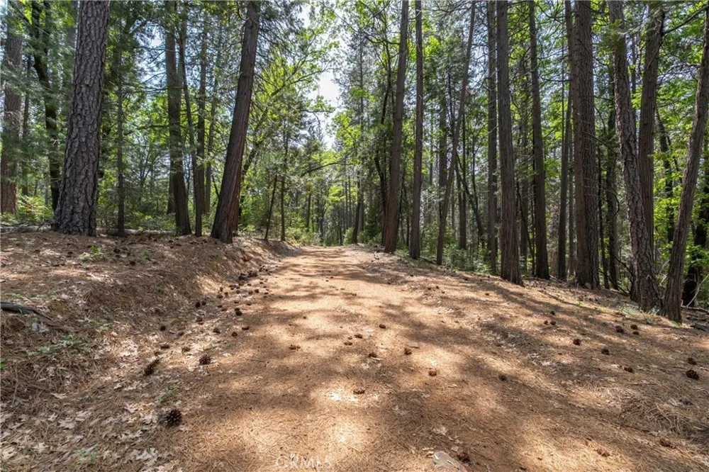 Scotty Ln Forest Ranch, CA 95942