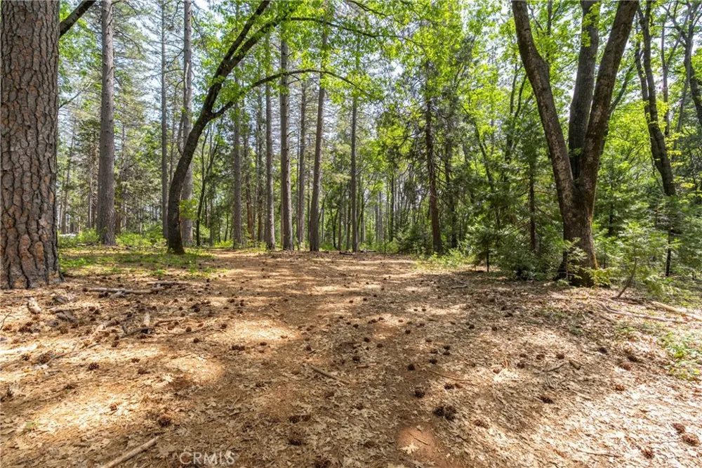 Scotty Ln Forest Ranch, CA 95942
