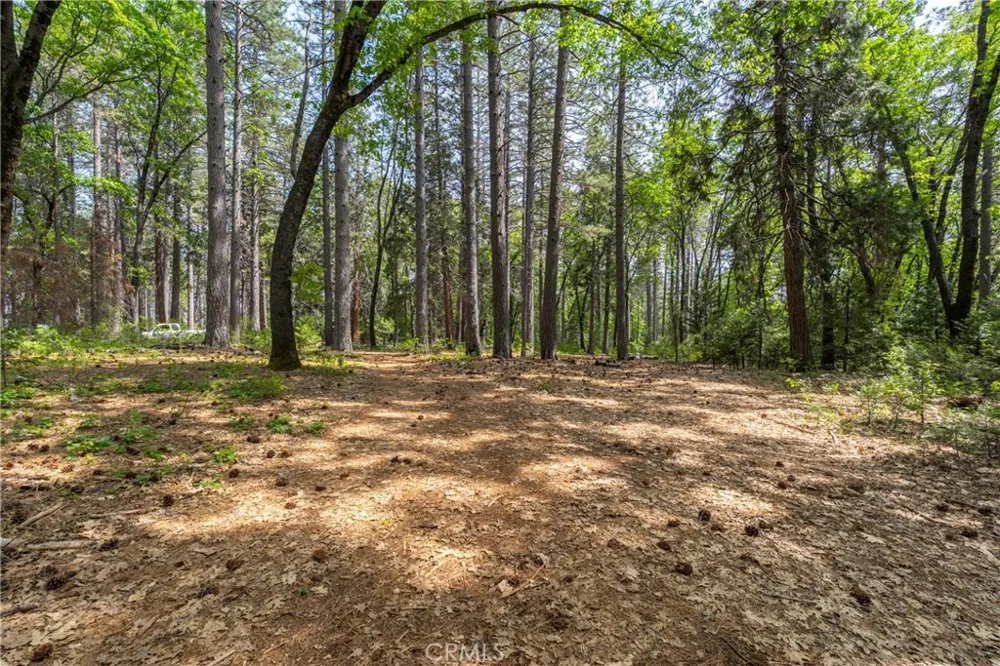 Scotty Ln Forest Ranch, CA 95942