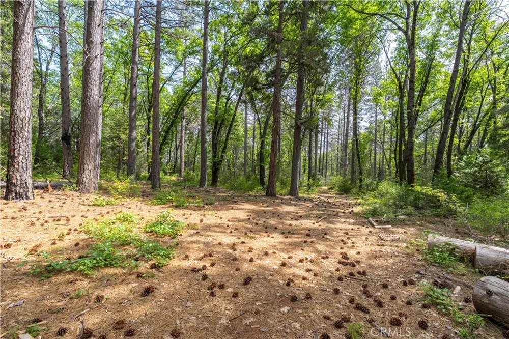 Scotty Ln Forest Ranch, CA 95942
