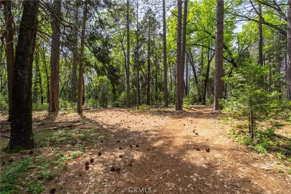 Scotty Ln Forest Ranch, CA 95942