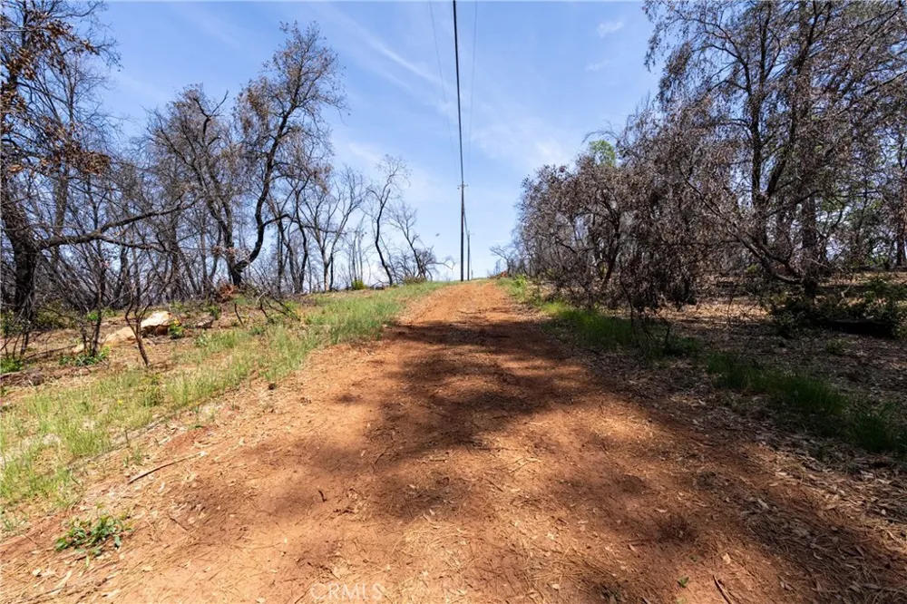 Toll Gate Way Forest Ranch, CA 95942