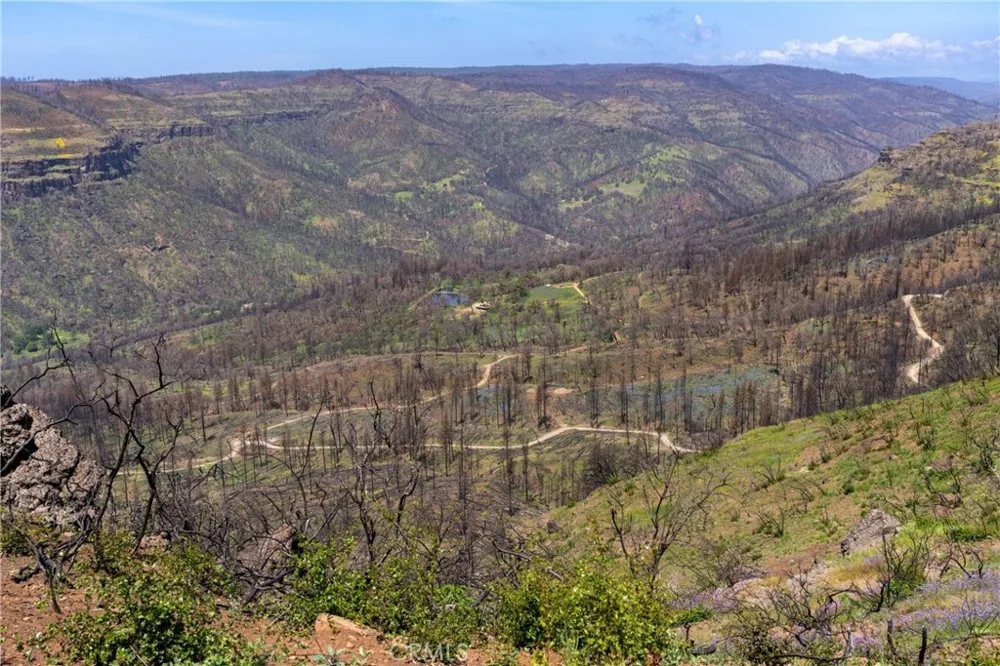 Toll Gate Way Forest Ranch, CA 95942