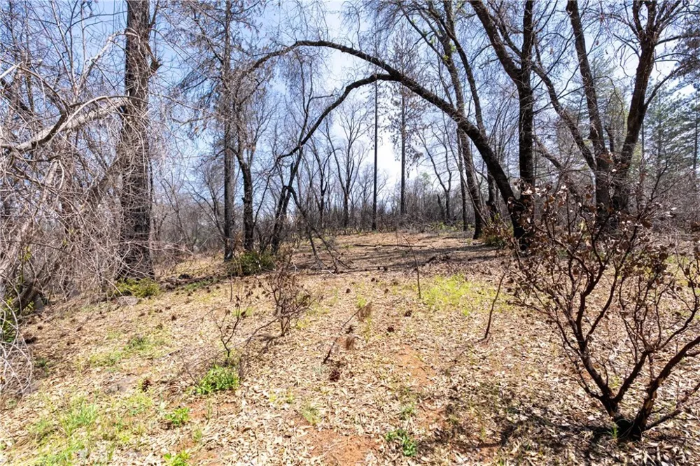 Toll Gate Way Forest Ranch, CA 95942