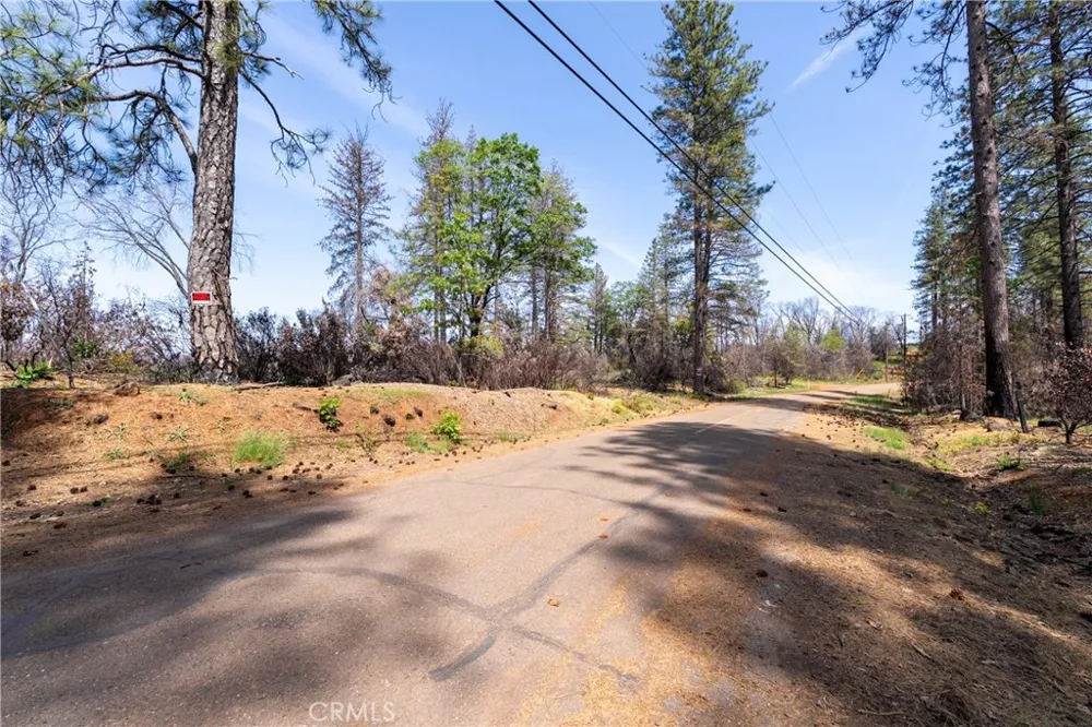 Toll Gate Way Forest Ranch, CA 95942