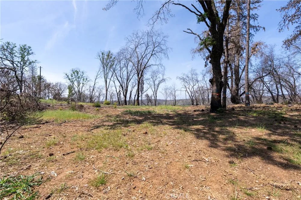Toll Gate Way Forest Ranch, CA 95942