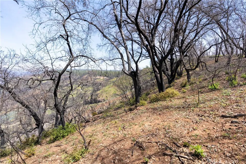 Toll Gate Way Forest Ranch, CA 95942