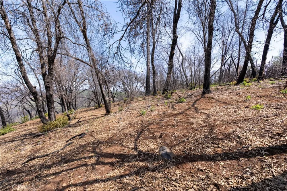 Toll Gate Way Forest Ranch, CA 95942