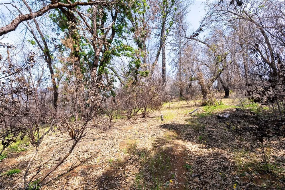 Toll Gate Way Forest Ranch, CA 95942