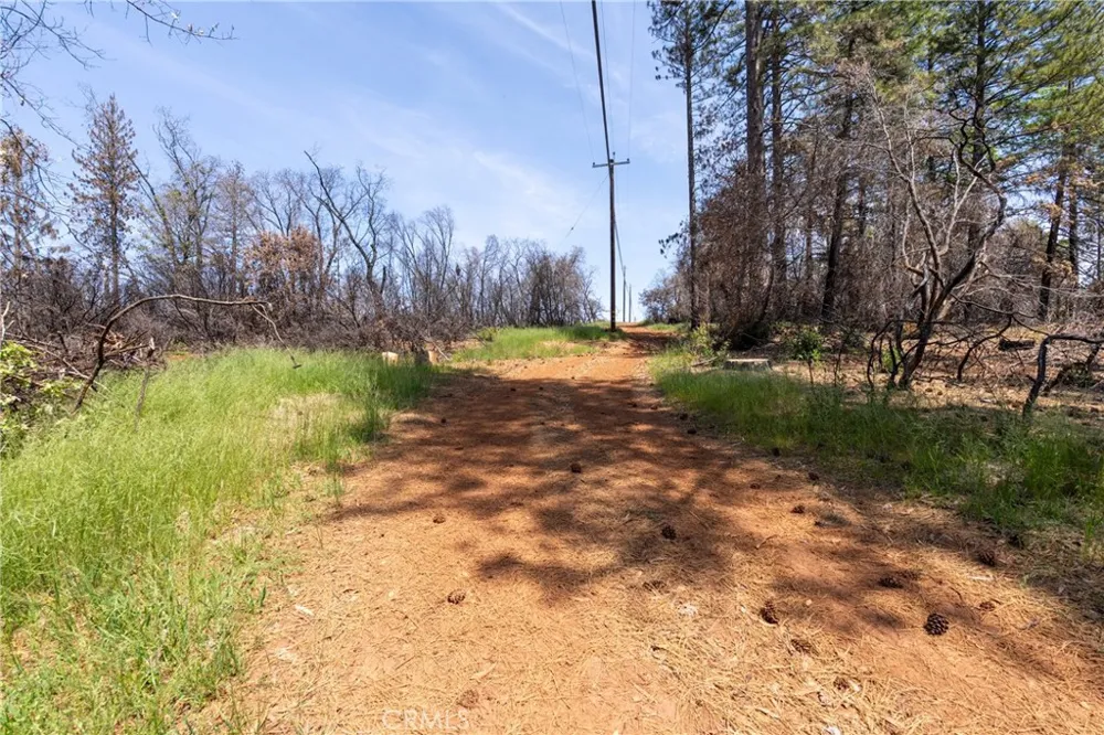 Toll Gate Way Forest Ranch, CA 95942