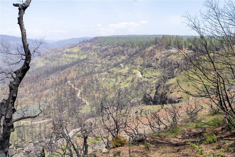 Toll Gate Way Forest Ranch, CA 95942