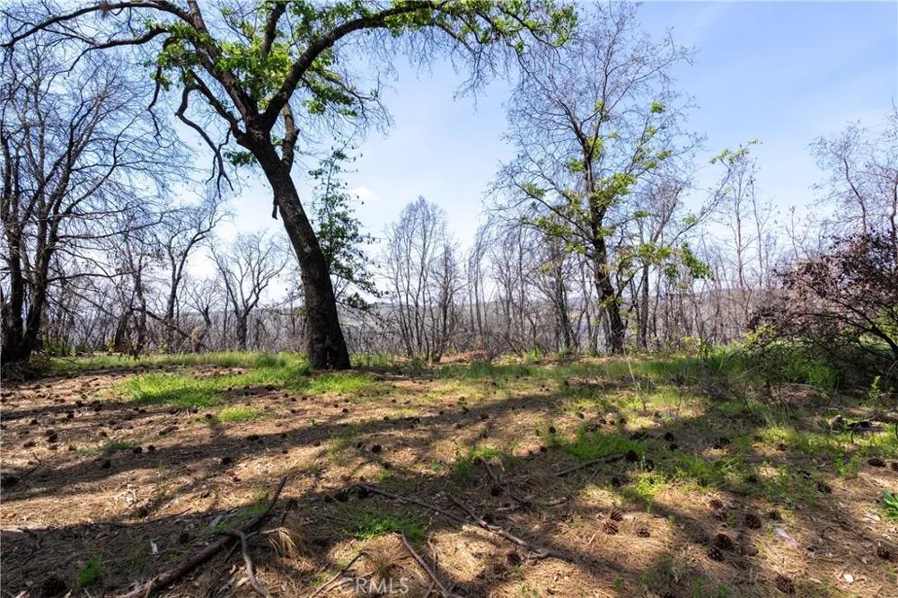 Toll Gate Way Forest Ranch, CA 95942