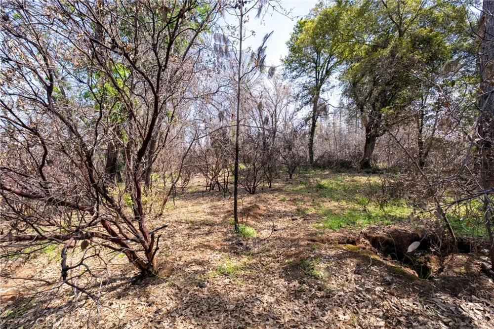 Toll Gate Way Forest Ranch, CA 95942