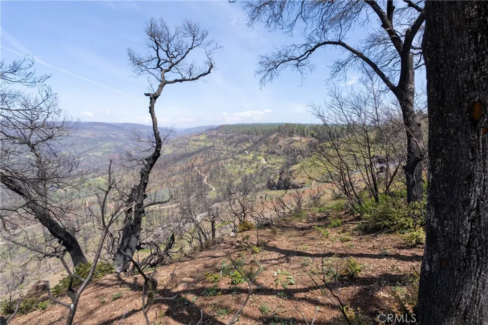 Toll Gate Way Forest Ranch, CA 95942