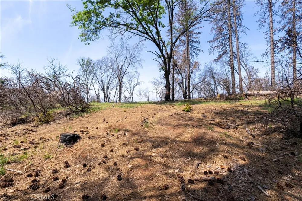 Toll Gate Way Forest Ranch, CA 95942