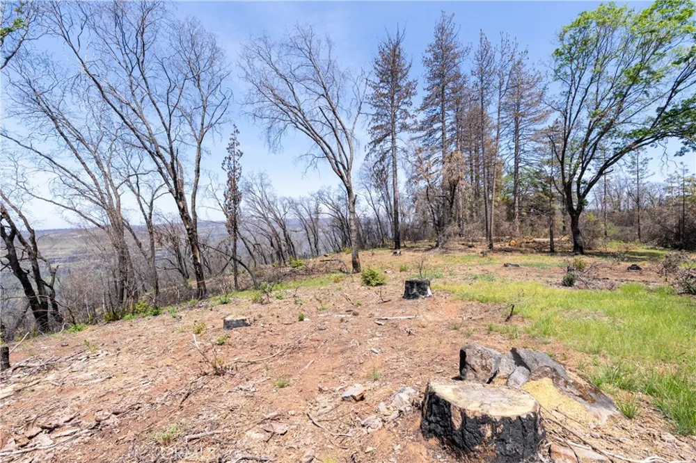 Toll Gate Way Forest Ranch, CA 95942