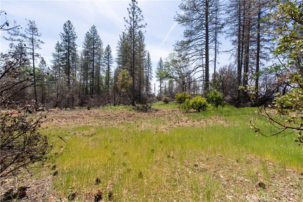 Toll Gate Way Forest Ranch, CA 95942