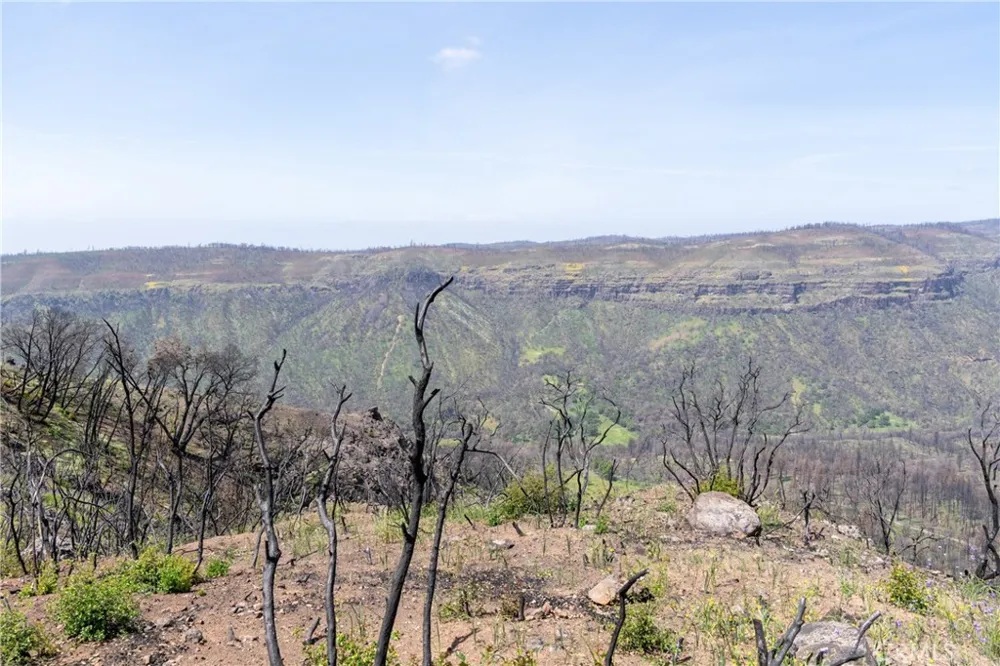 Toll Gate Way Forest Ranch, CA 95942