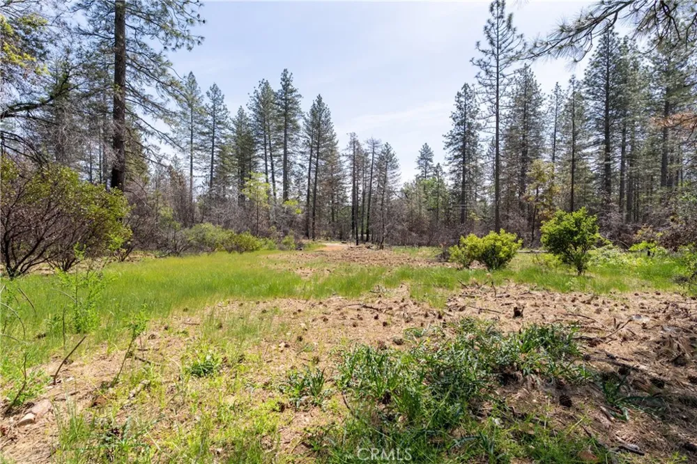 Toll Gate Way Forest Ranch, CA 95942