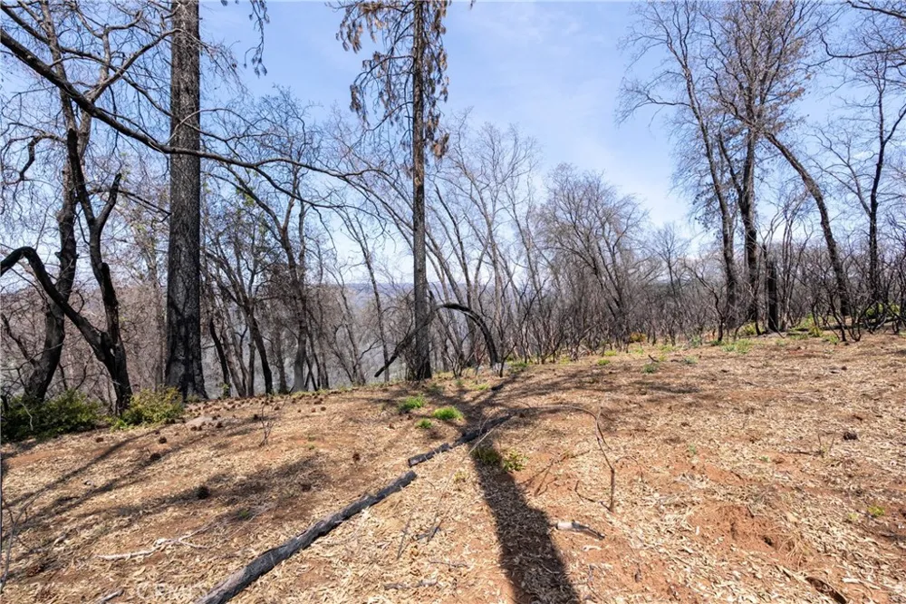 Toll Gate Way Forest Ranch, CA 95942