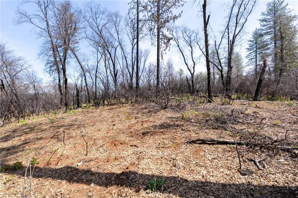 Toll Gate Way Forest Ranch, CA 95942