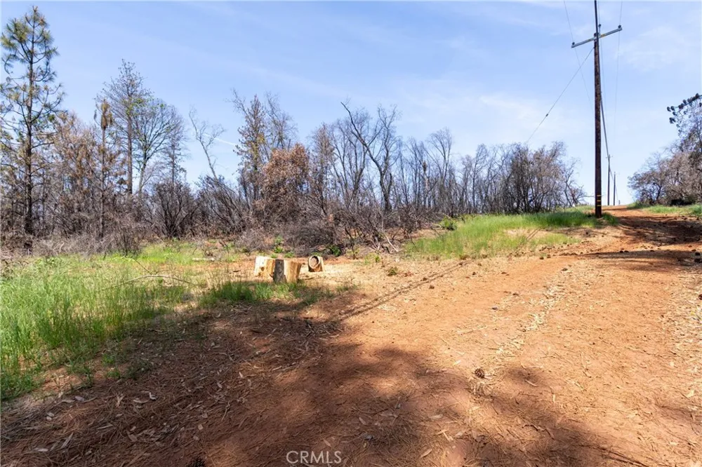 Toll Gate Way Forest Ranch, CA 95942