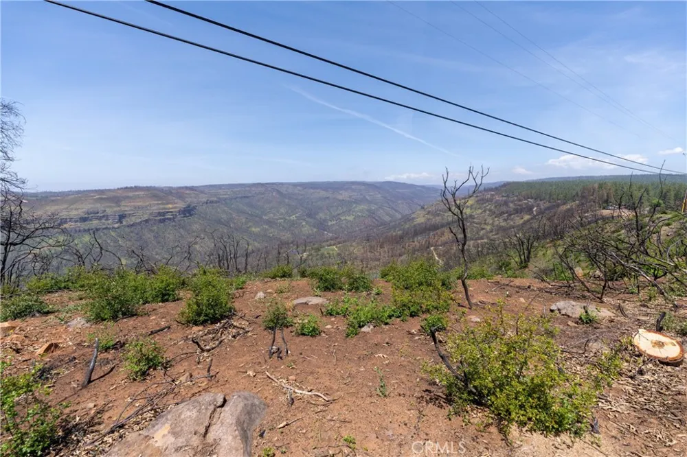 Toll Gate Way Forest Ranch, CA 95942
