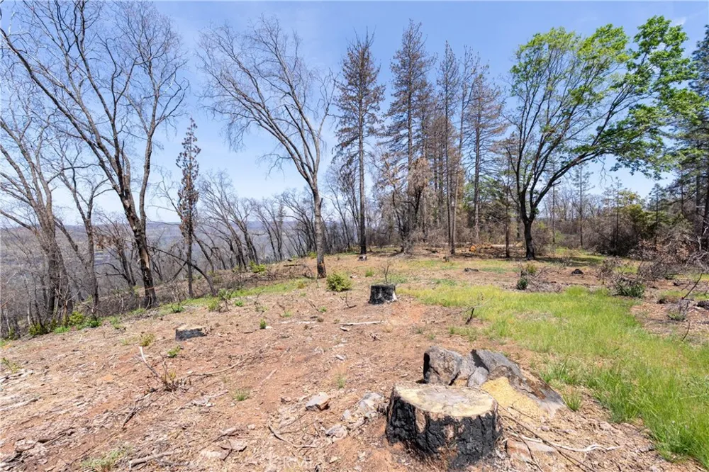 Toll Gate Way Forest Ranch, CA 95942