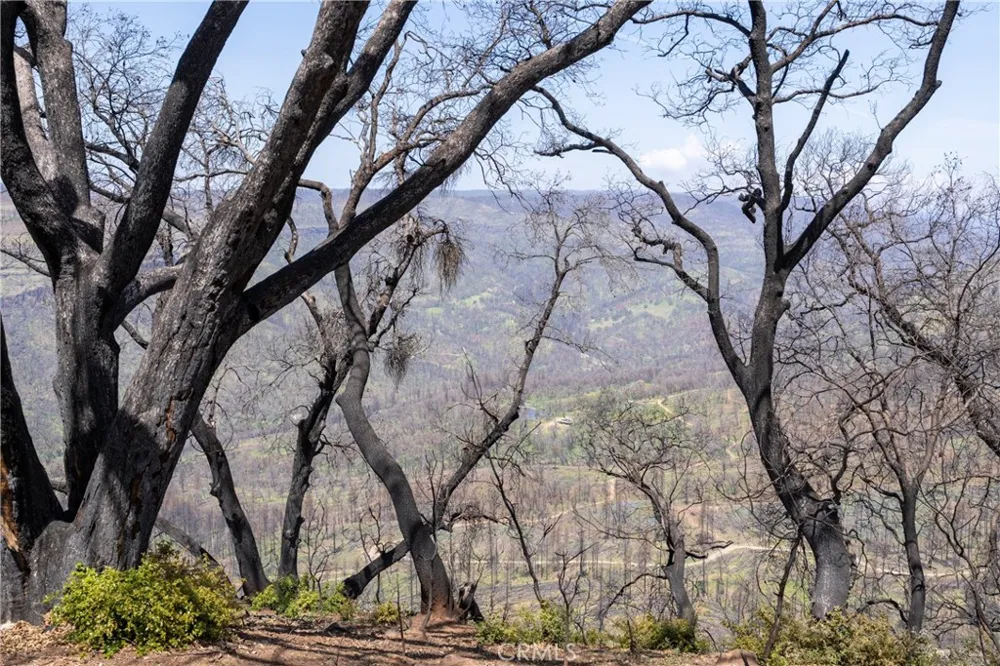 Toll Gate Way Forest Ranch, CA 95942