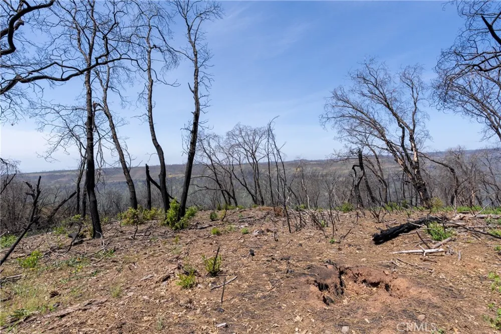 Toll Gate Way Forest Ranch, CA 95942