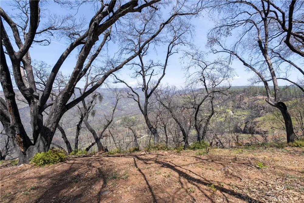 Toll Gate Way Forest Ranch, CA 95942