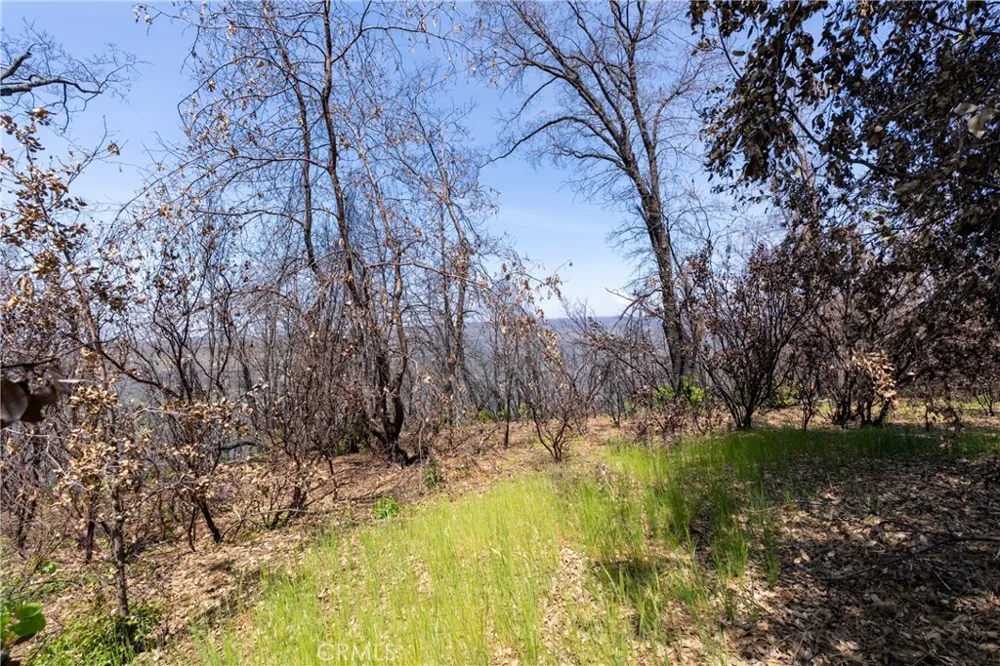 Toll Gate Way Forest Ranch, CA 95942