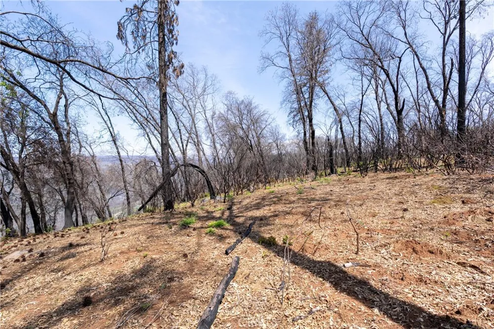 Toll Gate Way Forest Ranch, CA 95942