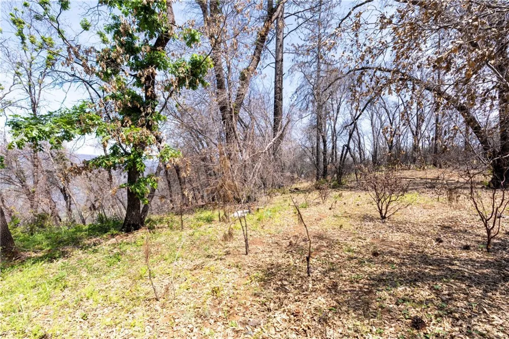 Toll Gate Way Forest Ranch, CA 95942