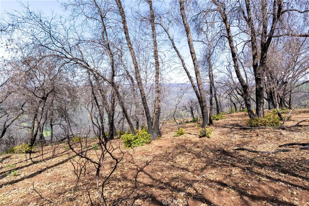 Toll Gate Way Forest Ranch, CA 95942