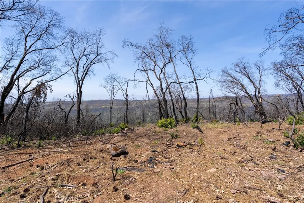 Toll Gate Way Forest Ranch, CA 95942