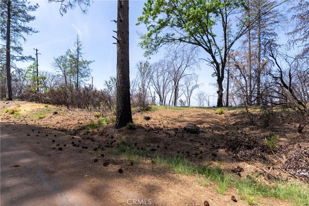 Toll Gate Way Forest Ranch, CA 95942
