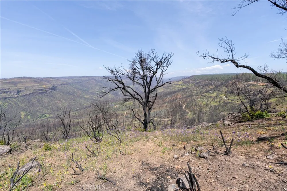 Toll Gate Way Forest Ranch, CA 95942