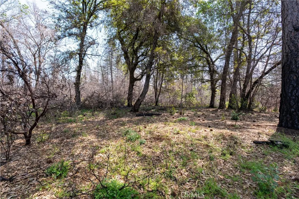 Toll Gate Way Forest Ranch, CA 95942