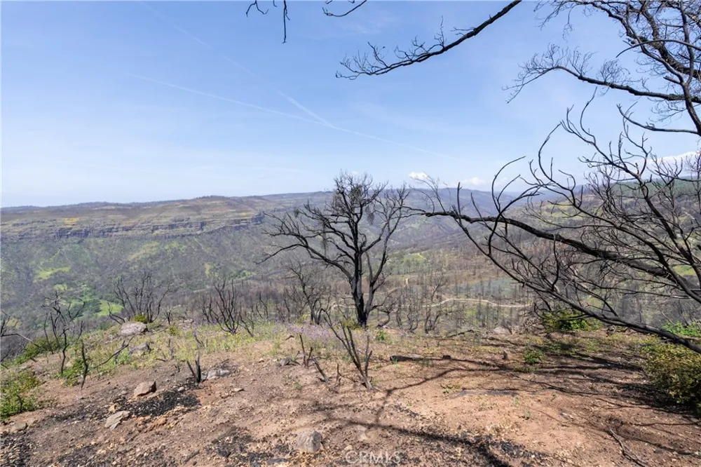 Toll Gate Way Forest Ranch, CA 95942