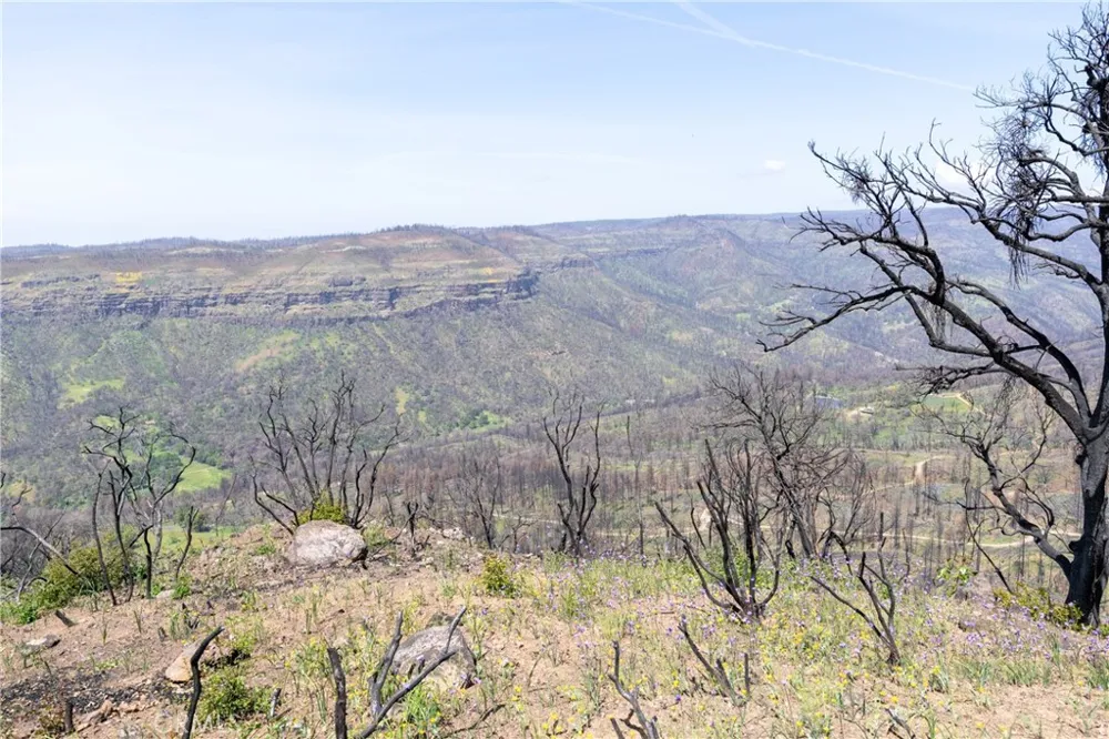 Toll Gate Way Forest Ranch, CA 95942