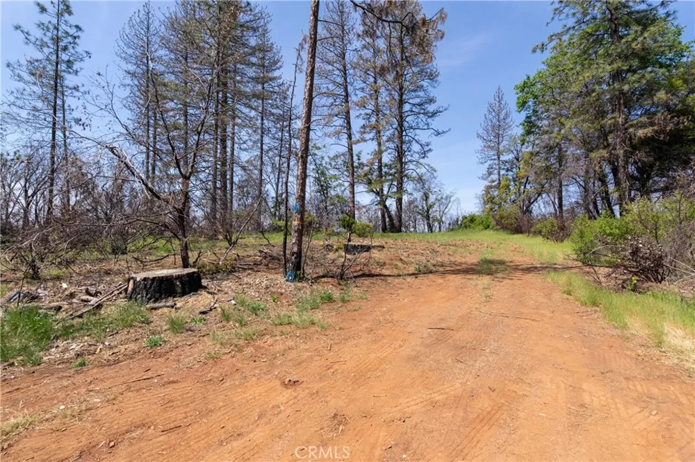 Toll Gate Way Forest Ranch, CA 95942