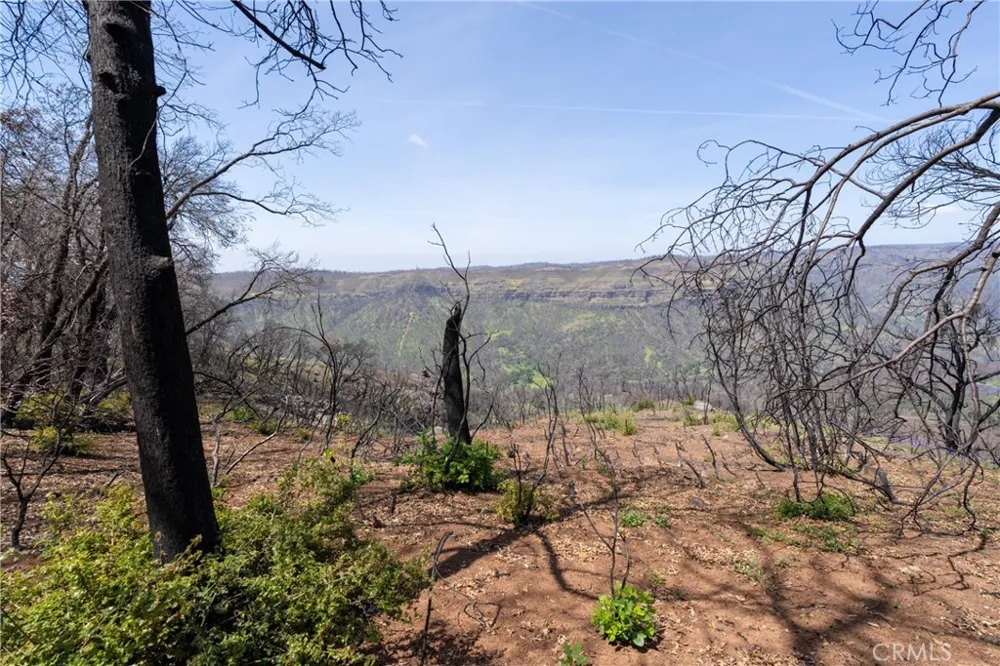 Toll Gate Way Forest Ranch, CA 95942