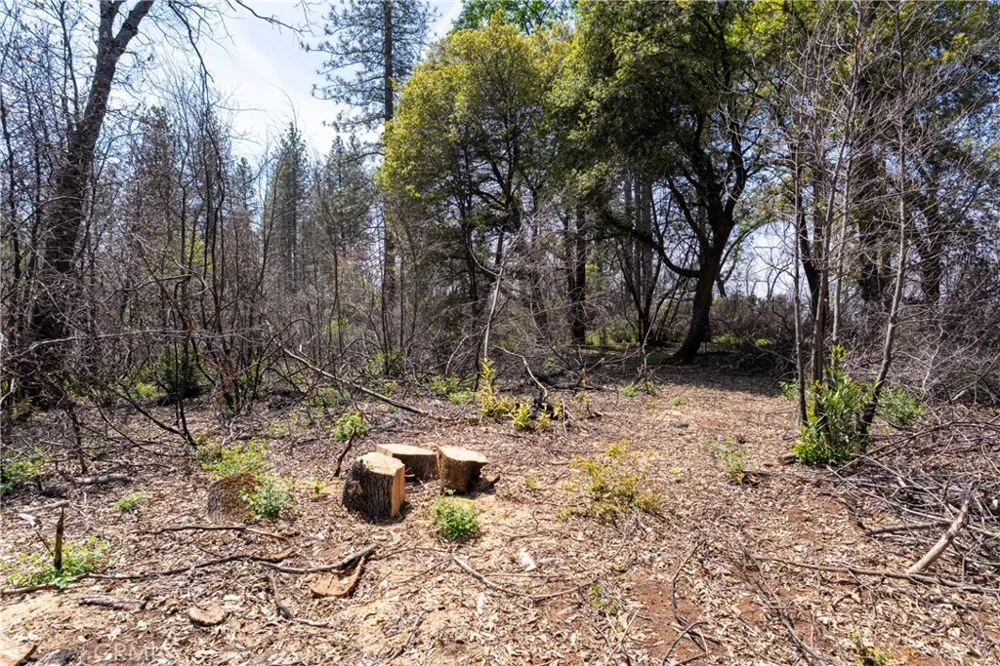 Toll Gate Way Forest Ranch, CA 95942