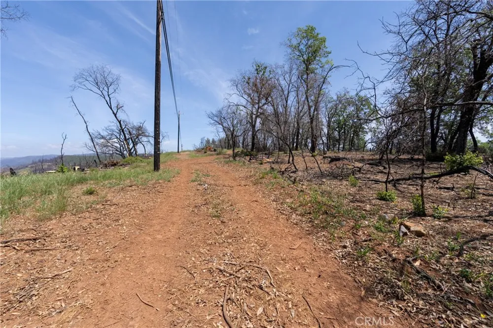 Toll Gate Way Forest Ranch, CA 95942