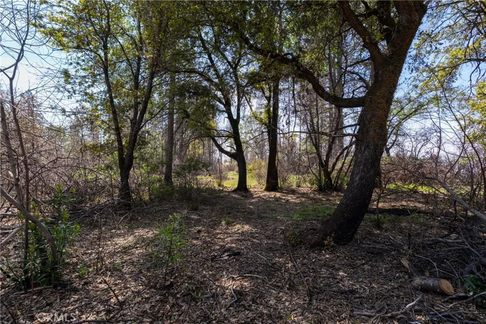 Toll Gate Way Forest Ranch, CA 95942
