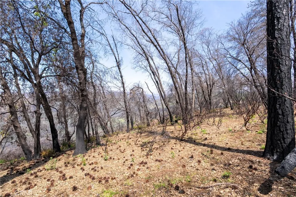 Toll Gate Way Forest Ranch, CA 95942